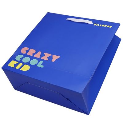 Kantong Kertas C1S Cetak Dengan Pegangan Tali
